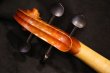 画像4: アイリッシュ・フィドル ＭａＺｈｉｂｉｎ工房 本場アイルランドの音色の再現！