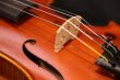 画像15: アイリッシュ・フィドル ＭａＺｈｉｂｉｎ工房 本場アイルランドの音色の再現！