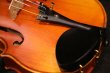 画像16: アイリッシュ・フィドル ＭａＺｈｉｂｉｎ工房 本場アイルランドの音色の再現！