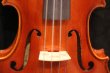 画像13: アイリッシュ・フィドル ＭａＺｈｉｂｉｎ工房 本場アイルランドの音色の再現！
