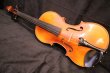 画像9: アイリッシュ・フィドル ＭａＺｈｉｂｉｎ工房 本場アイルランドの音色の再現！