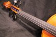 画像10: アイリッシュ・フィドル ＭａＺｈｉｂｉｎ工房 本場アイルランドの音色の再現！