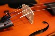 画像15: Ma工房 左利き用・バイオリン・ファインレベル２ピースバック Lefty Violin