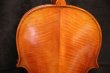 画像5: Ma工房 左利き用・バイオリン・ファインレベル２ピースバック Lefty Violin