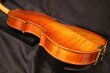 画像24: Ma工房 左利き用・バイオリン・ファインレベル２ピースバック Lefty Violin