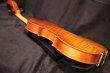 画像18: Ma工房 左利き用・バイオリン・ファインレベル２ピースバック Lefty Violin