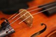画像12: Ma工房 左利き用・バイオリン・ファインレベル２ピースバック Lefty Violin