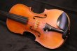 画像8: Ma工房 左利き用・バイオリン・ファインレベル２ピースバック Lefty Violin