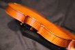 画像26: Ma工房 左利き用・バイオリン・ファインレベル２ピースバック Lefty Violin