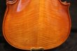 画像7: Ma工房 左利き用・バイオリン・ファインレベル２ピースバック Lefty Violin