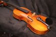 画像18: Ma工房 左利き用・バイオリン・ファインレベル２ピースバック Lefty Violin