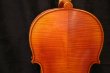 画像5: Ma工房 左利き用・バイオリン・ファインレベル２ピースバック Lefty Violin