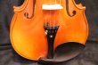 画像14: Ma工房 左利き用・バイオリン・ファインレベル２ピースバック Lefty Violin