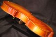 画像26: Ma工房 左利き用・バイオリン・ファインレベルワンピースバック Lefty Violin