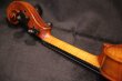 画像24: Ma工房 左利き用・バイオリン・ファインレベル２ピースバック Lefty Violin