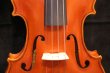 画像13: Ma工房 左利き用・バイオリン・ファインレベル２ピースバック Lefty Violin