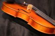 画像17: Ma工房 左利き用・バイオリン・ファインレベル２ピースバック Lefty Violin