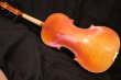 画像2: Ma工房 左利き用・バイオリン・ファインレベル２ピースバック Lefty Violin