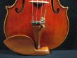画像10: スコット・カオ マスターメイド ストラディバリ バイオリン Scott Cao Stradivari Vaiolin Soil 