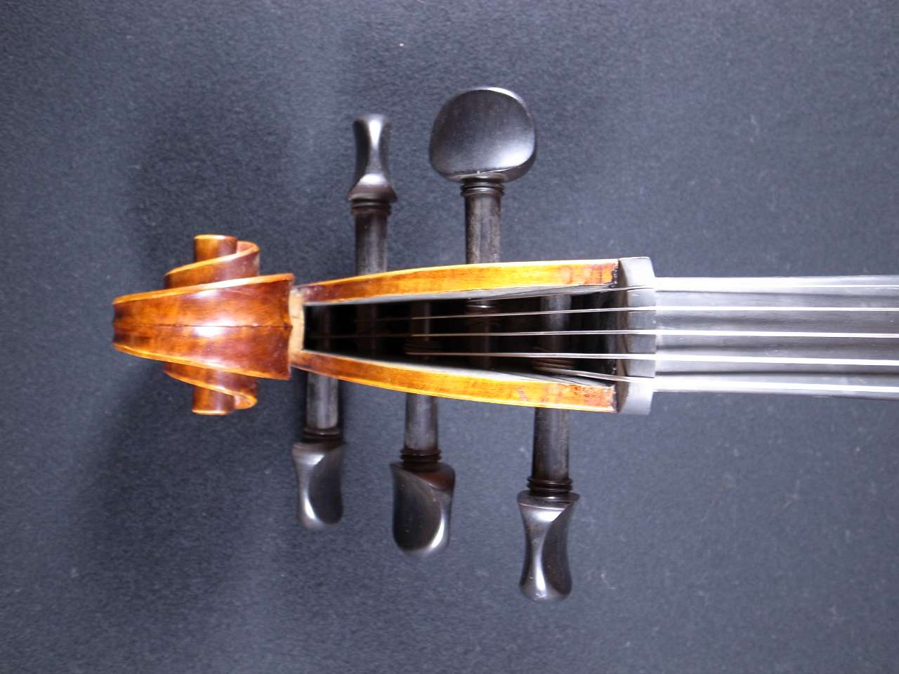 フルサイズ チェロ 4弦 ブラウン Amazon | フルサイズ 4/4 チェロ用駒(ブリッジ) | 弦楽器