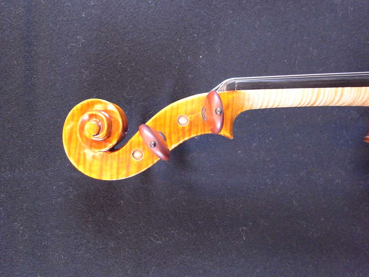 画像: Ma Zhibin工房ファインレベル・バイオリン・ワンピースバック