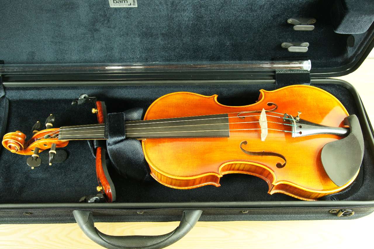画像: ＢＡＭロータスハイテック・バイオリンケース バヤデール ２．５Ｋｇ BAM Lotus Hightech violin case 2010LHB/Bayadere