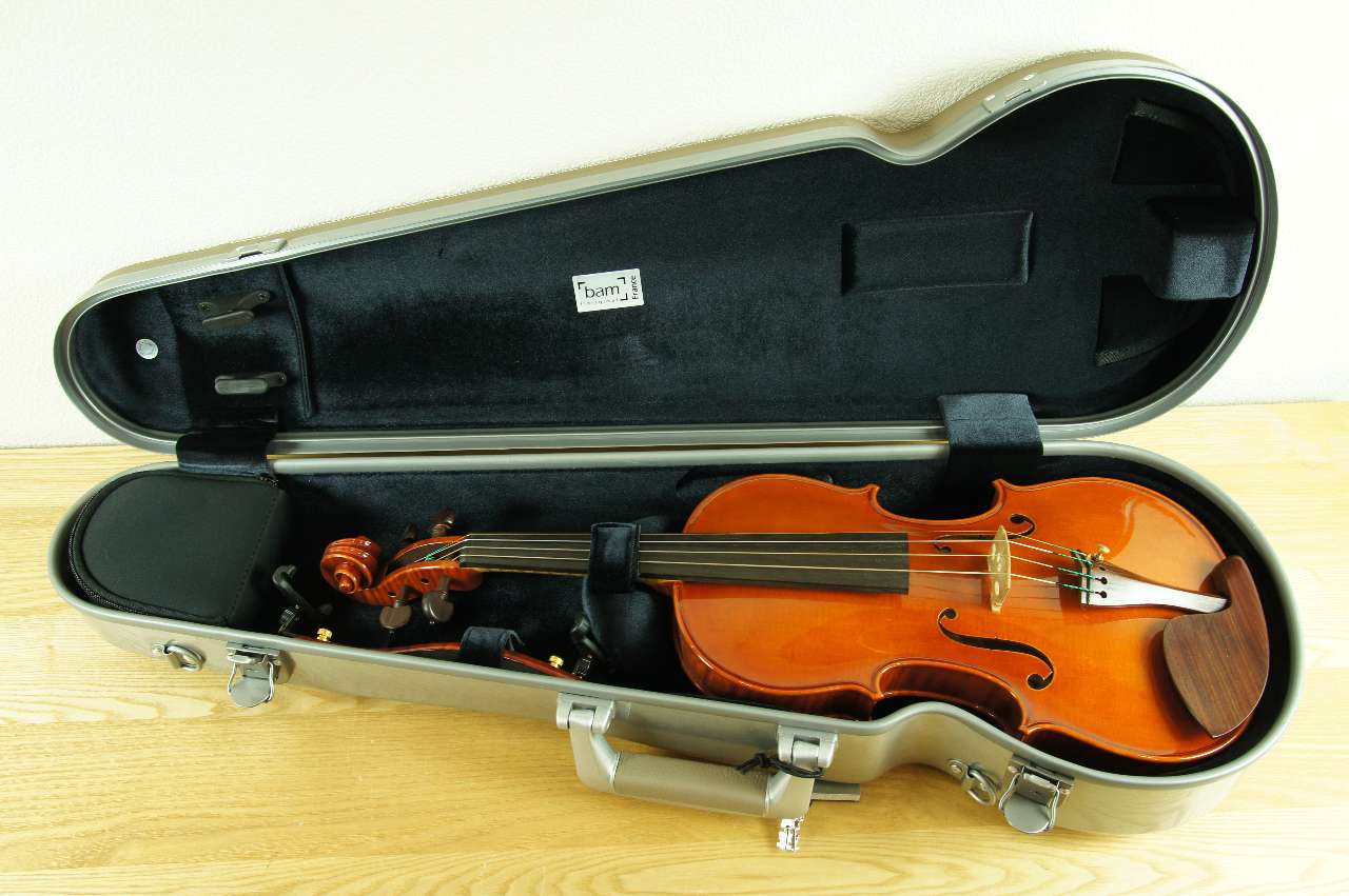 画像: ＢＡＭハイテック・エトワール・コンツアード・バイオリンケース（グレイジュ） １．６Ｋｇ BAM Hitech L'?toile Contoured violin case ET2002XLGR / Greige