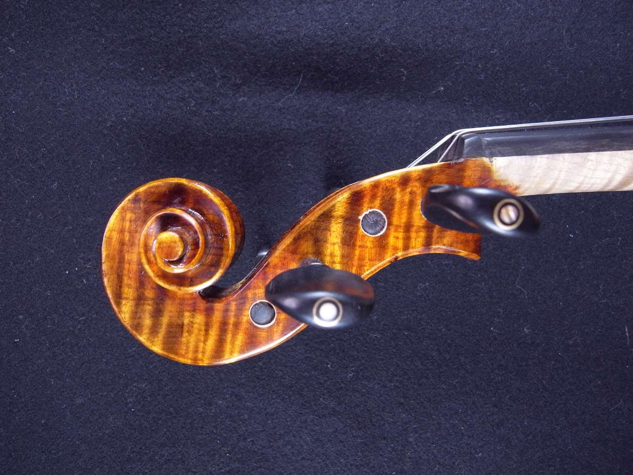 画像11: Ma Zhibin工房スーパーファインレベル・ストラディバリ・バイオリン・ワンピースバック