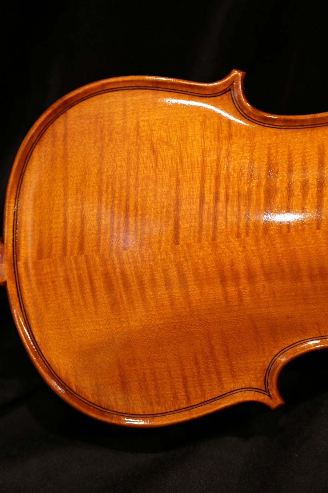 画像7: グリガ バイオリン ゲムス４／４ Gliga Violin Gems ルーマニア製
