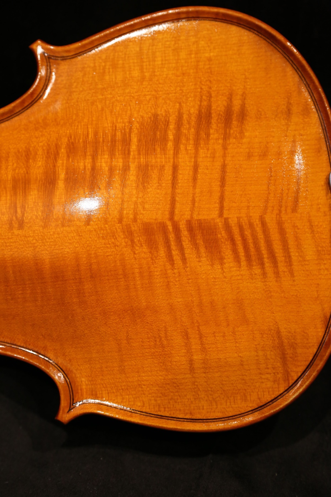 画像9: グリガ バイオリン ゲムス４／４ Gliga Violin Gems ルーマニア製
