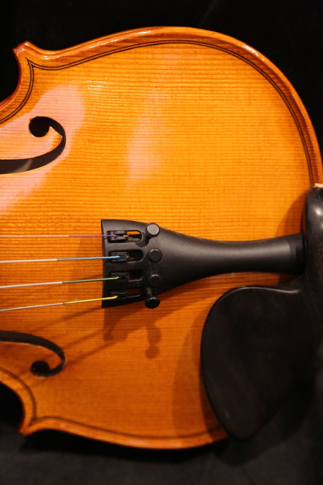画像11: グリガ バイオリン ゲムス４／４ Gliga Violin Gems ルーマニア製