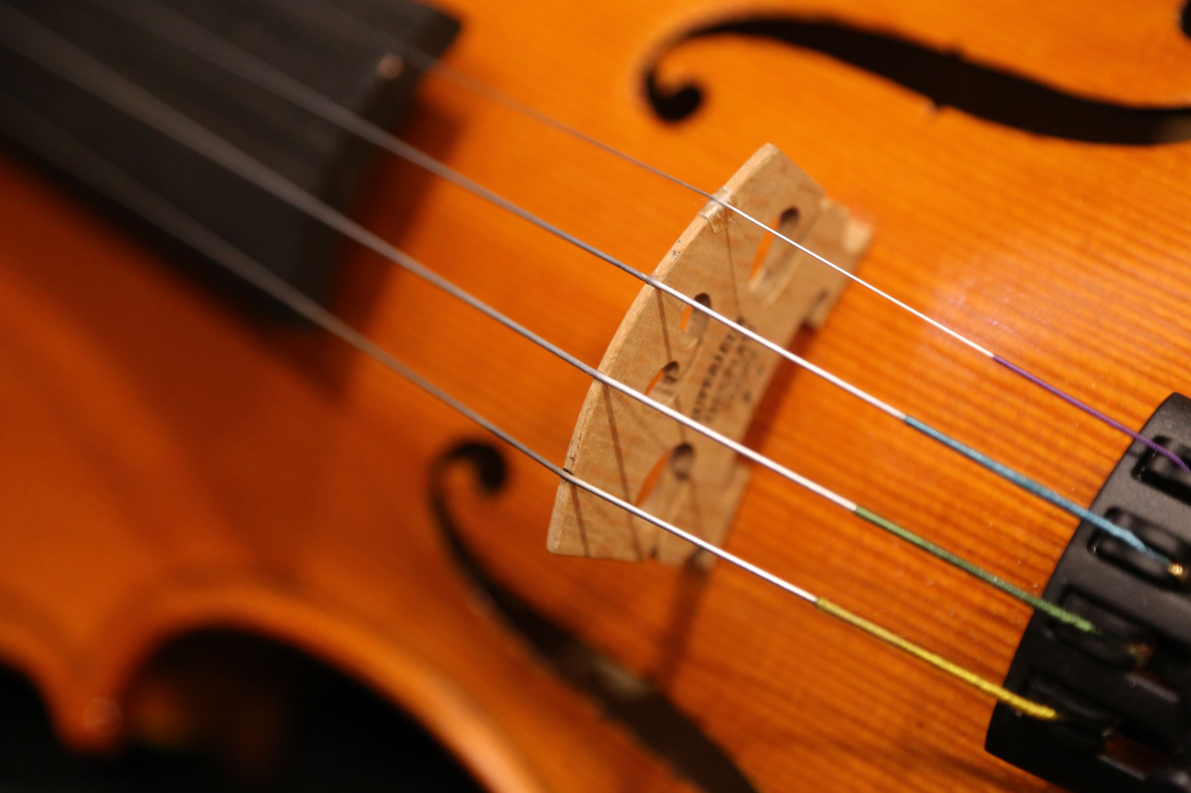 画像10: グリガ バイオリン ゲムス４／４ Gliga Violin Gems ルーマニア製