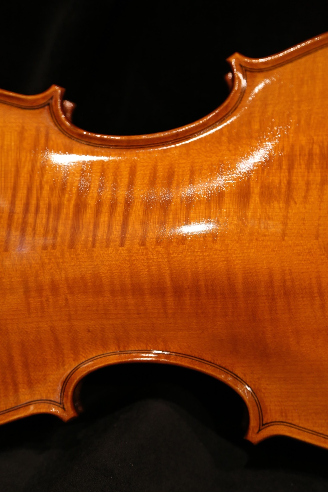 画像8: グリガ バイオリン ゲムス４／４ Gliga Violin Gems ルーマニア製