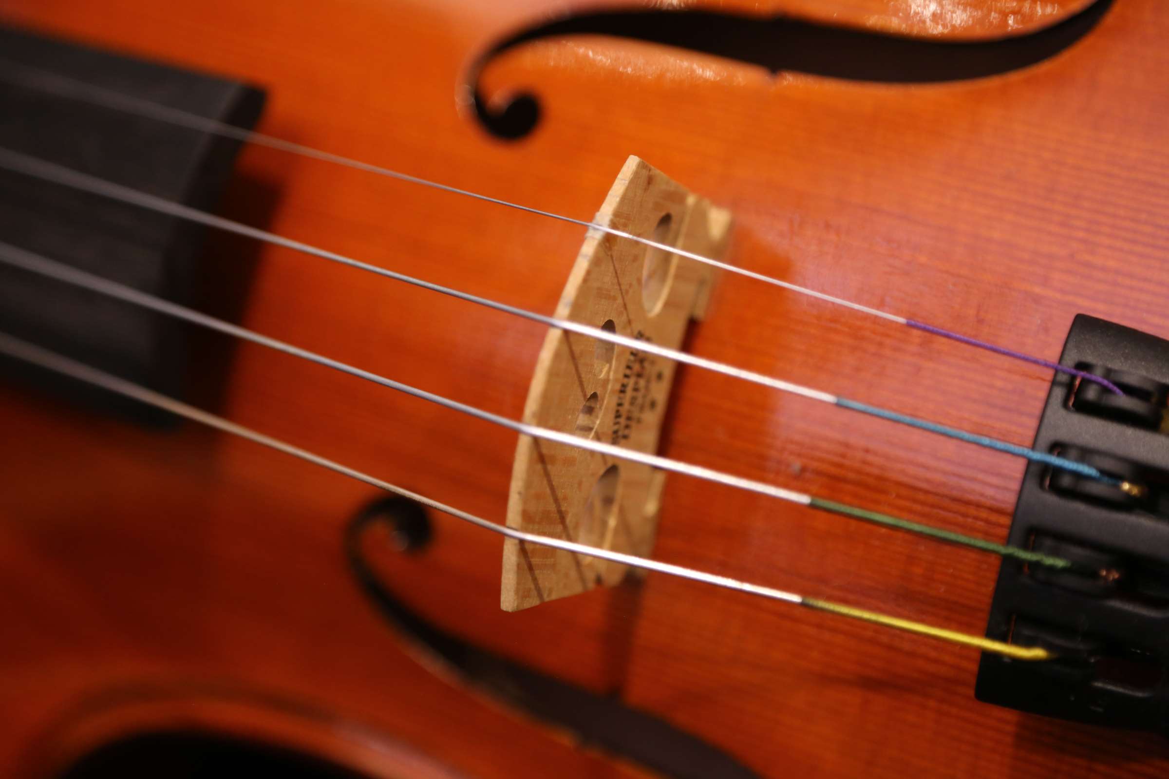 画像11: グリガ バイオリン ガマII ４／４ Gliga Violin Gama II ルーマニア製