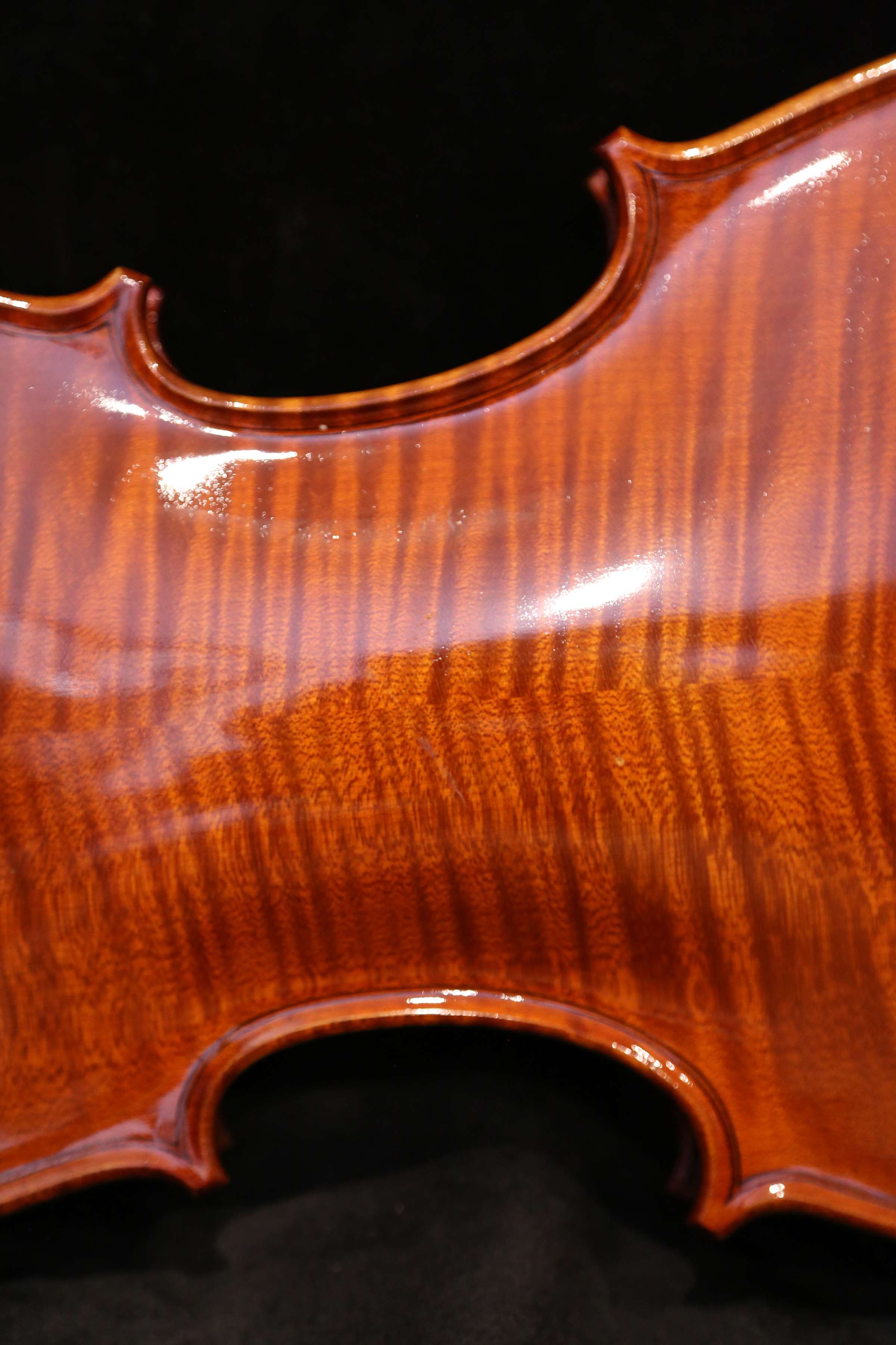 画像7: グリガ バイオリン ガマI ４／４ Gliga Violin Gama I ルーマニア製