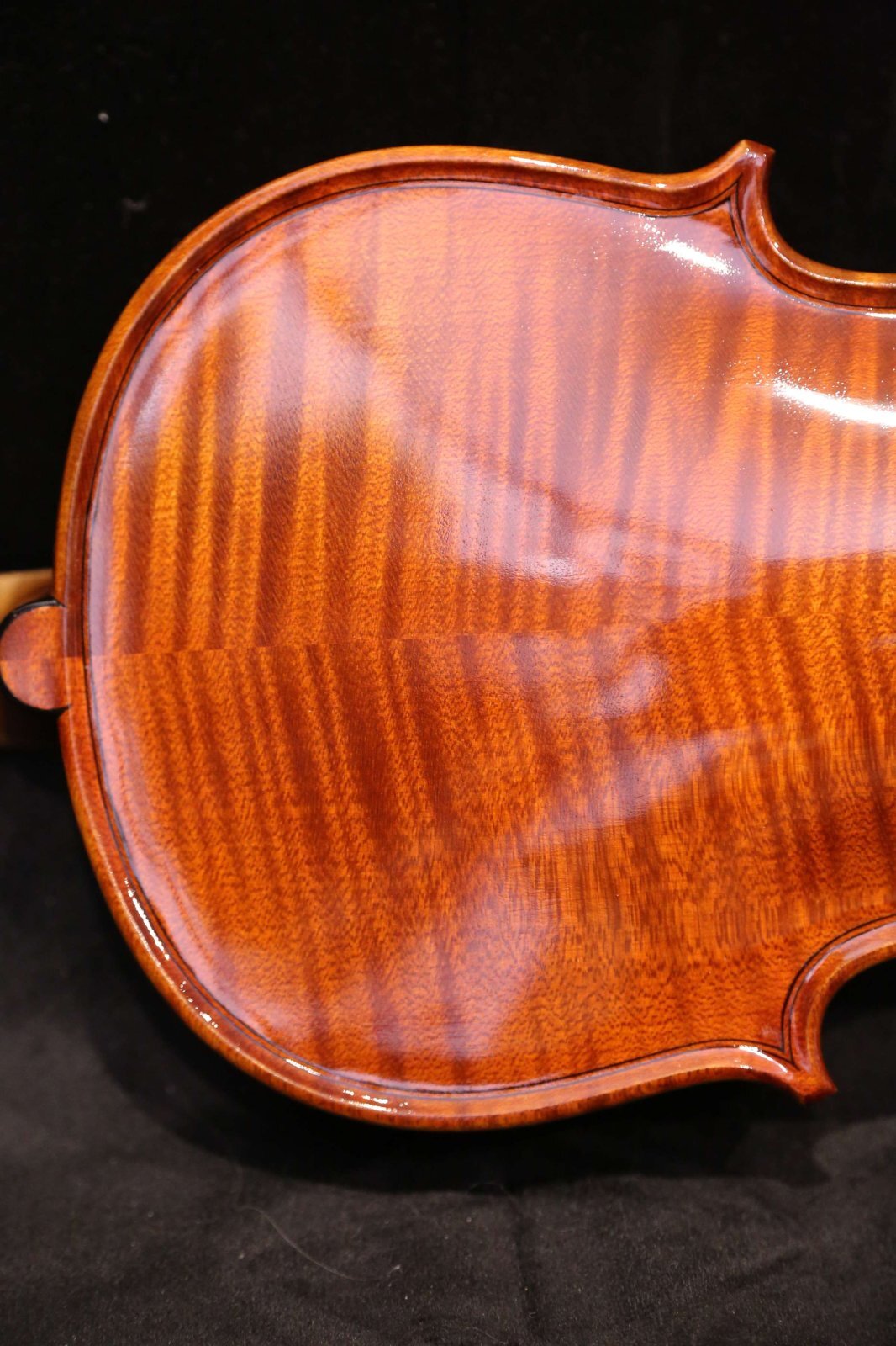 画像6: グリガ バイオリン ガマI ４／４ Gliga Violin Gama I ルーマニア製