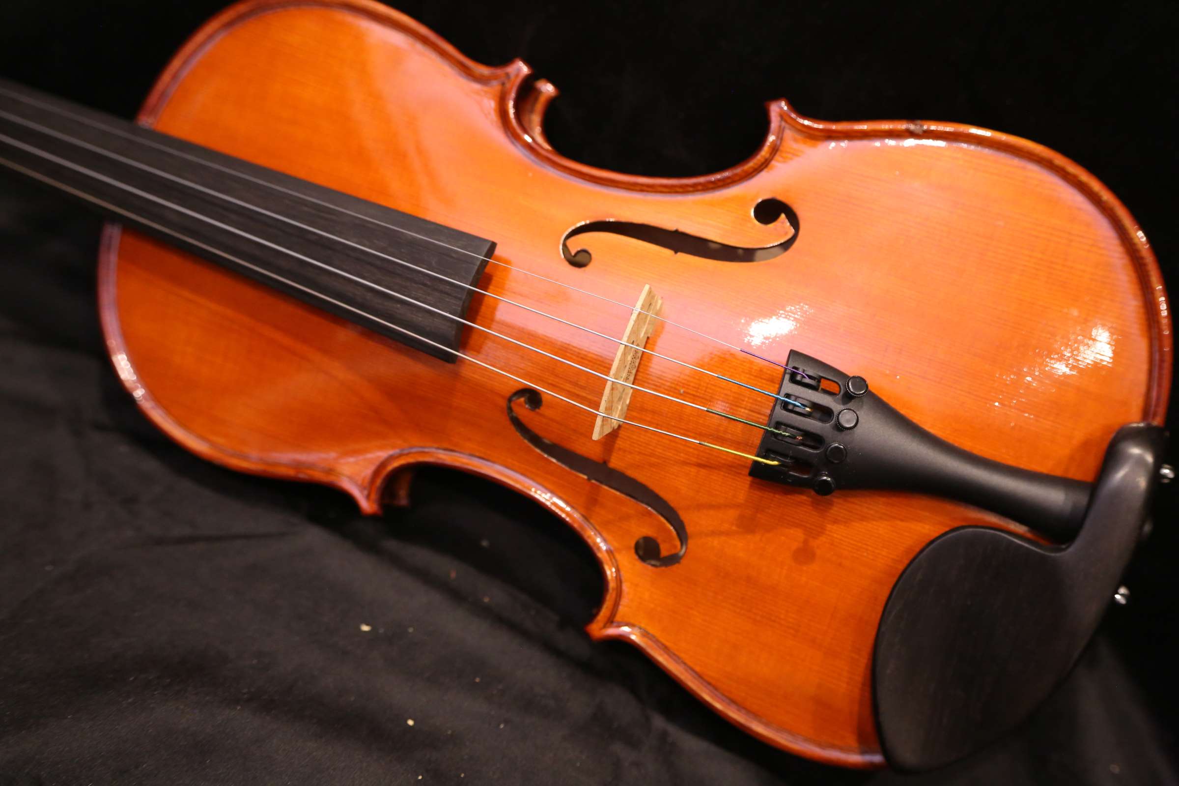 画像3: グリガ バイオリン ガマII ４／４ Gliga Violin Gama II ルーマニア製
