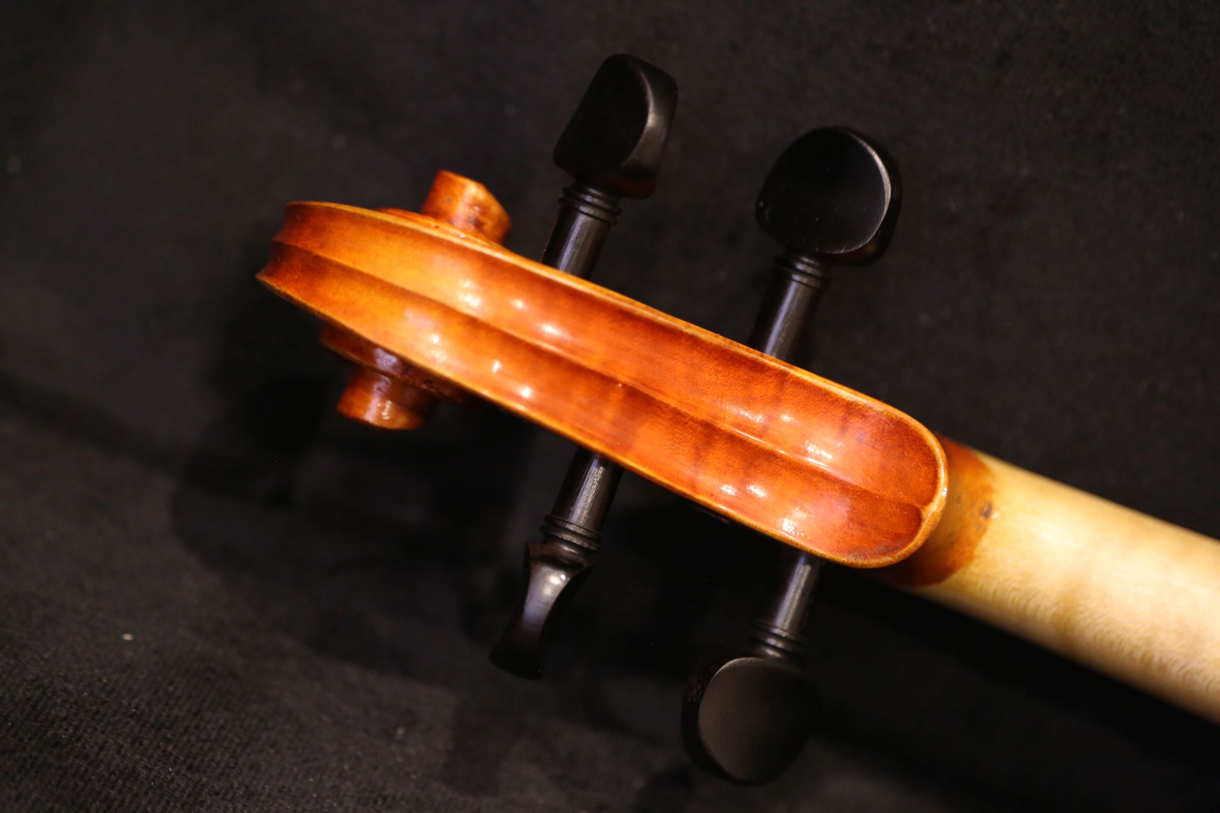 画像4: Ma工房 左利き用・バイオリン・ファインレベル２ピースバック Lefty Violin