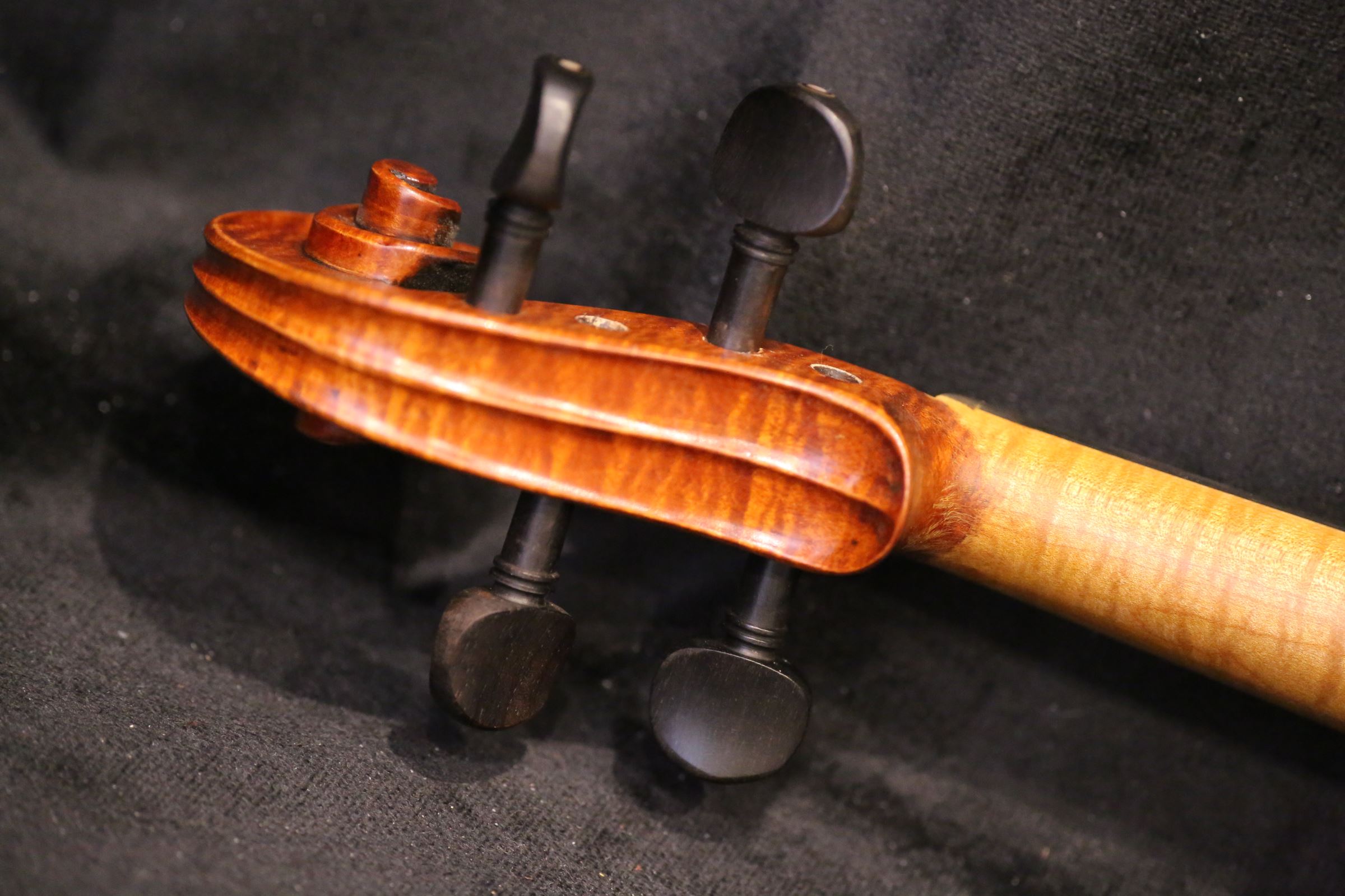 画像4: Ma工房 左利き用・バイオリン・ファインレベル２ピースバック Lefty Violin