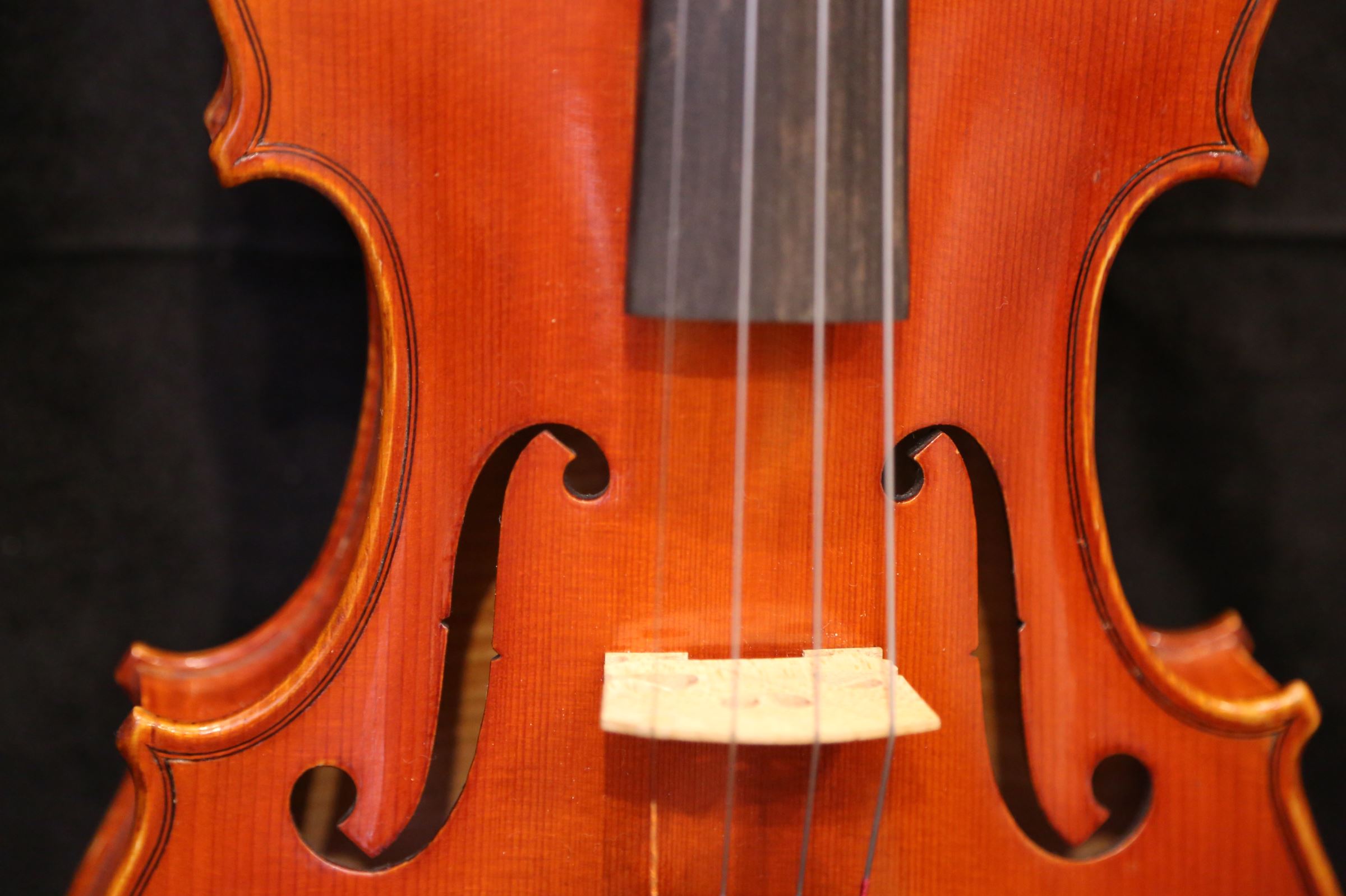 画像13: Ma工房 左利き用・バイオリン・ファインレベル２ピースバック Lefty Violin