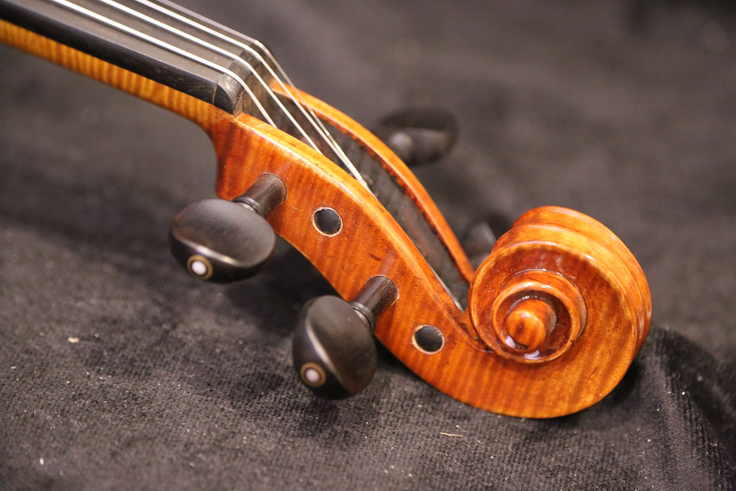 画像22: Ma工房 左利き用・バイオリン・ファインレベル２ピースバック Lefty Violin