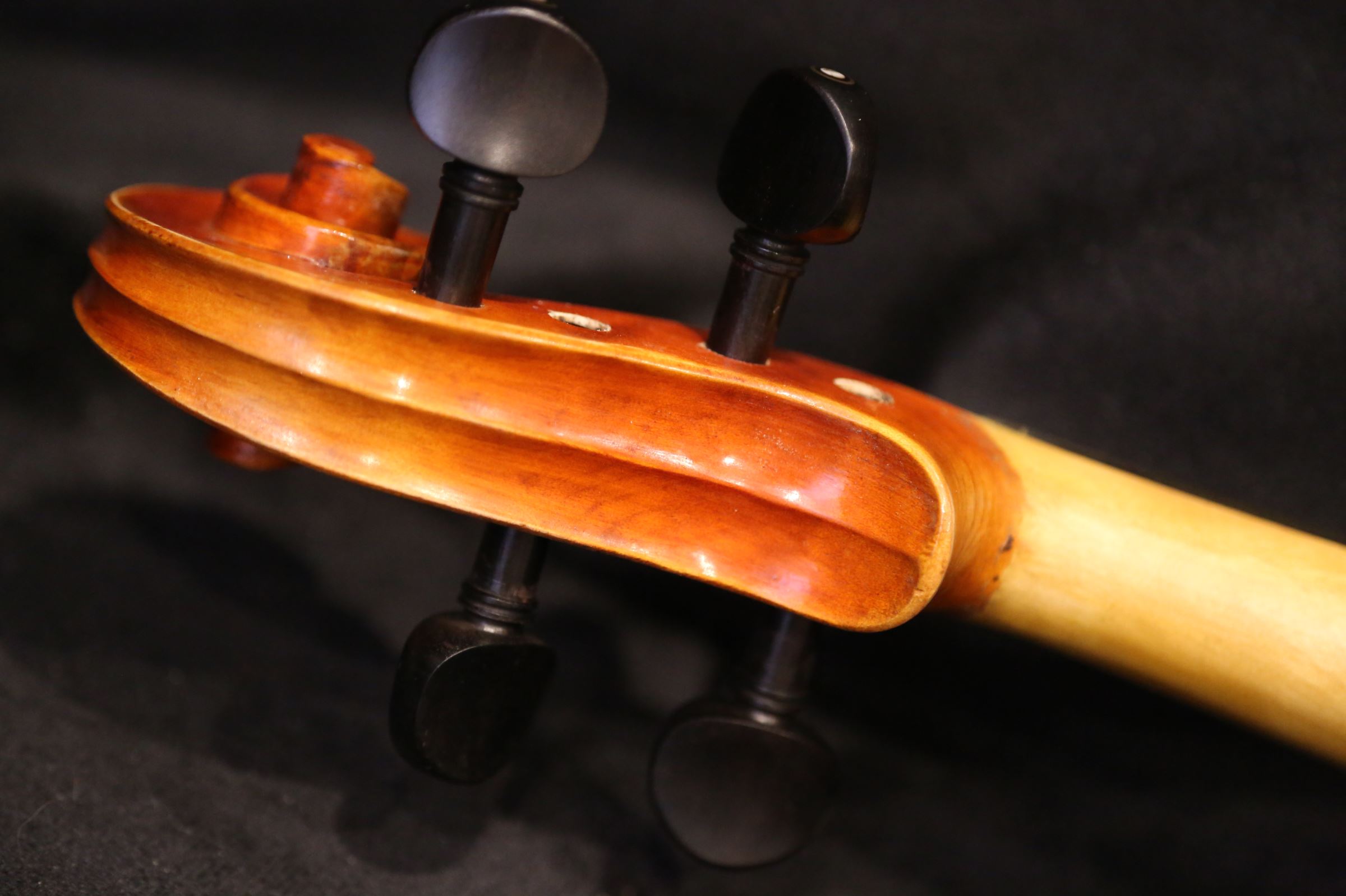 画像4: Ma工房 左利き用・バイオリン・ファインレベル２ピースバック Lefty Violin