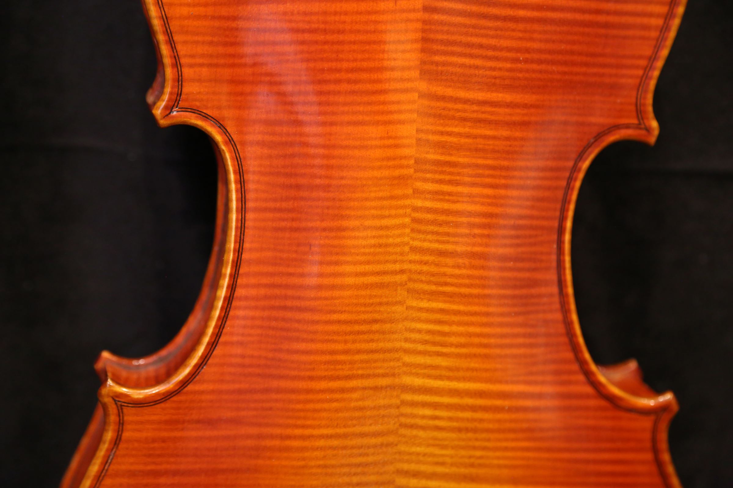 画像6: Ma工房 左利き用・バイオリン・ファインレベル２ピースバック Lefty Violin