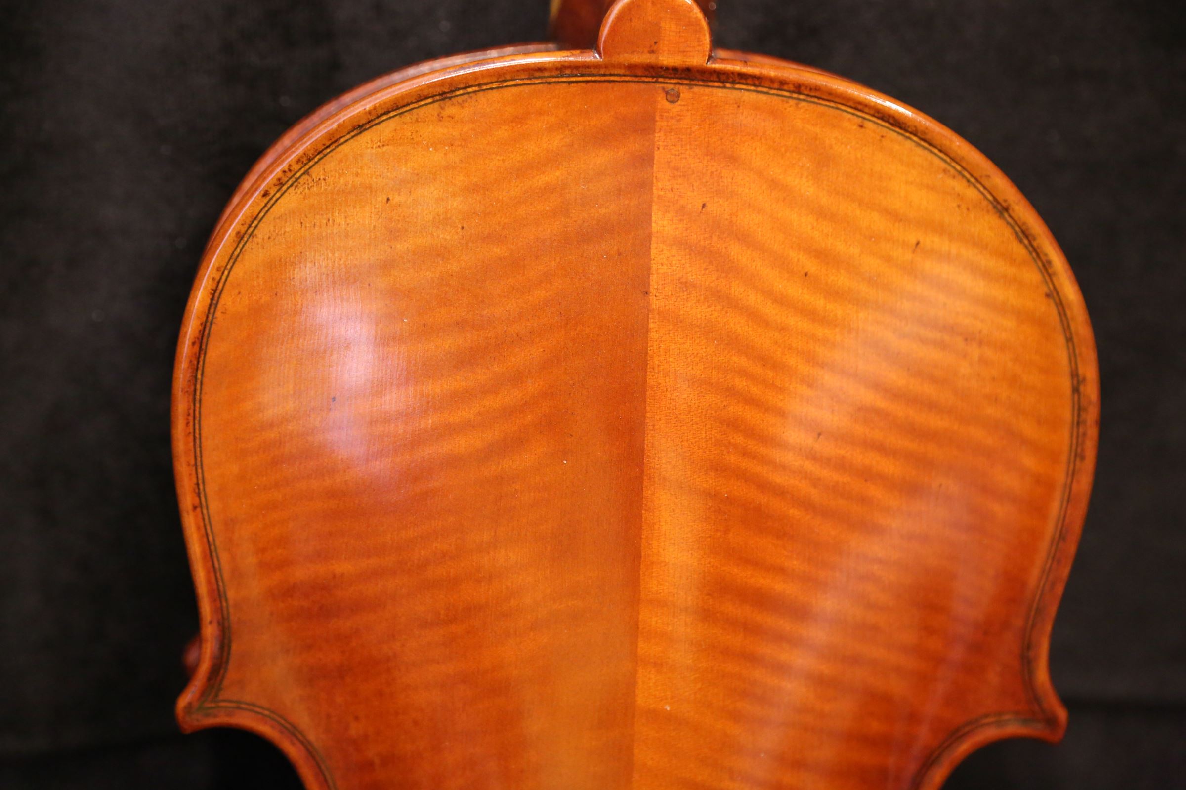画像5: Ma工房 左利き用・バイオリン・ファインレベル２ピースバック Lefty Violin