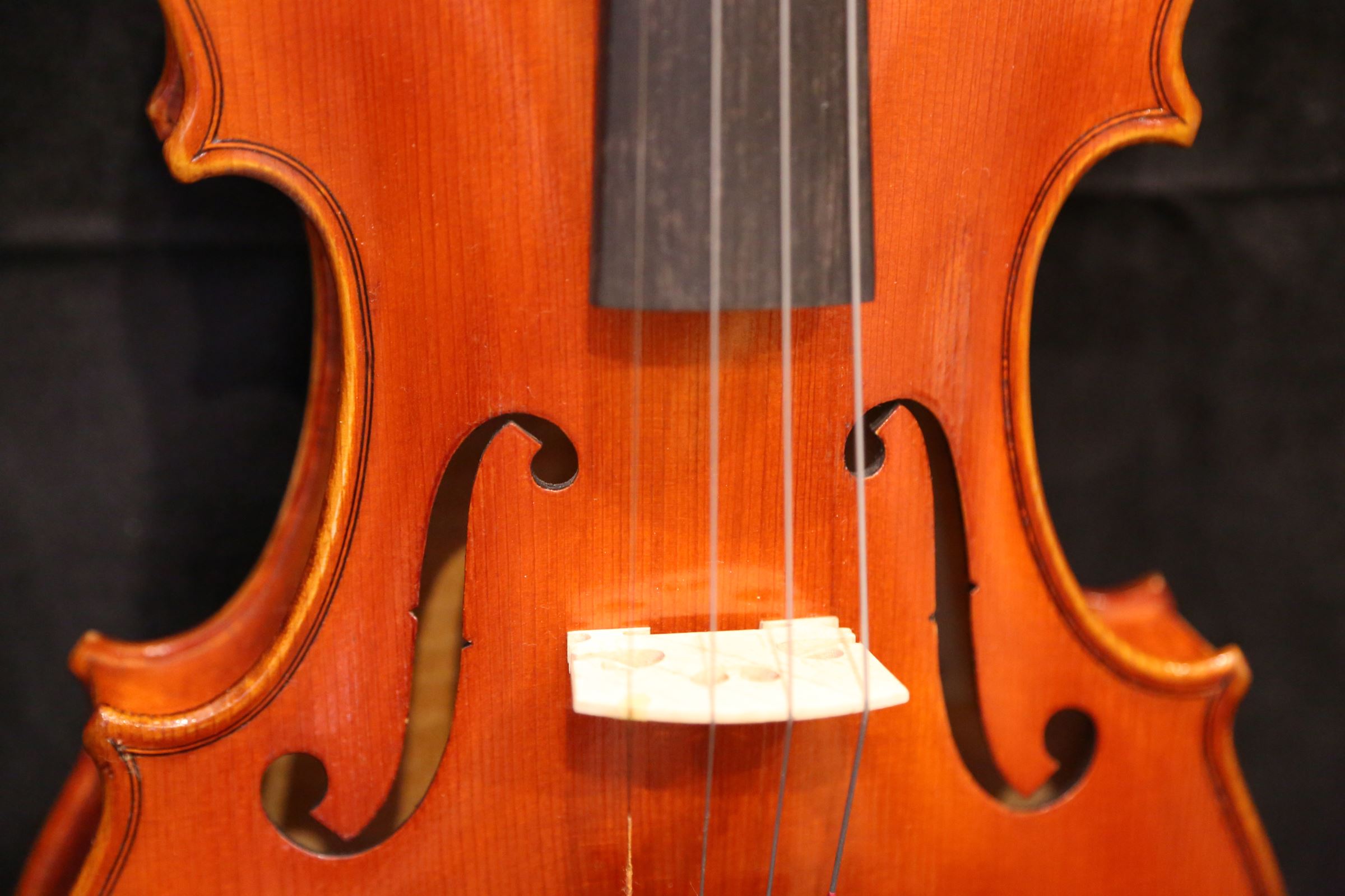 画像13: Ma工房 左利き用・バイオリン・ファインレベル２ピースバック Lefty Violin