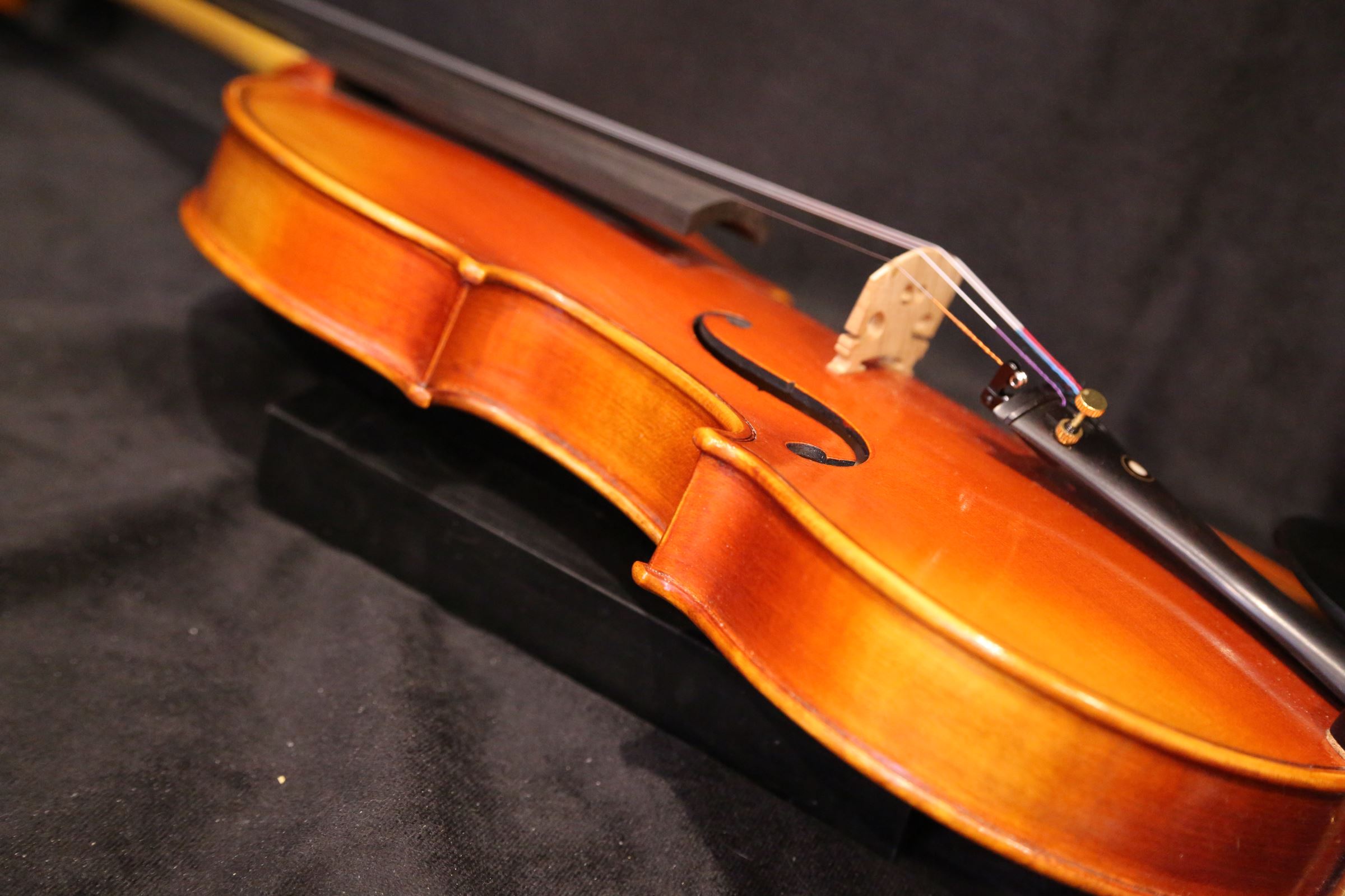 画像17: Ma工房 左利き用・バイオリン・ファインレベルワンピースバック Lefty Violin