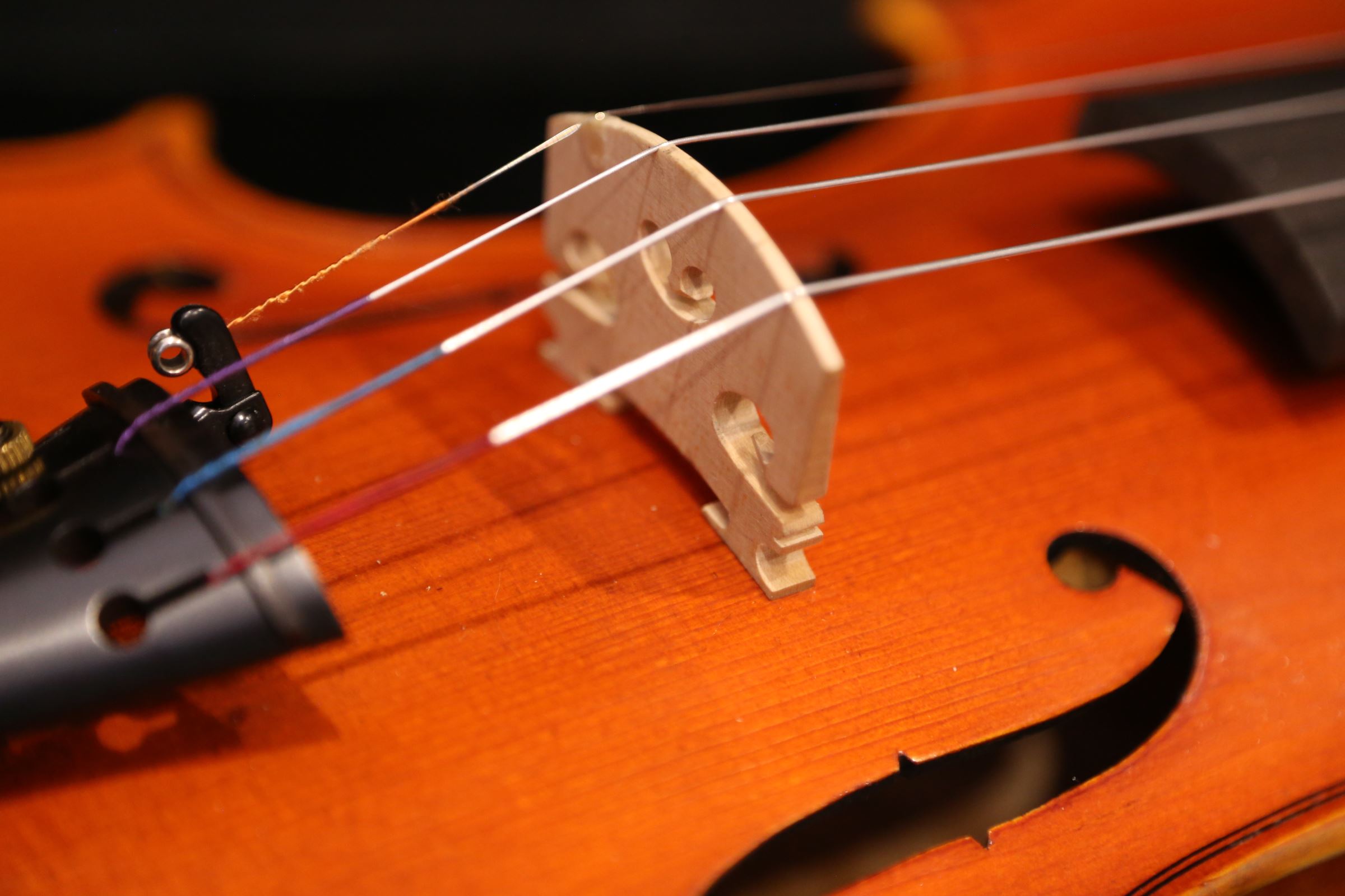 画像: Ma工房 左利き用・バイオリン・ファインレベル２ピースバック Lefty Violin
