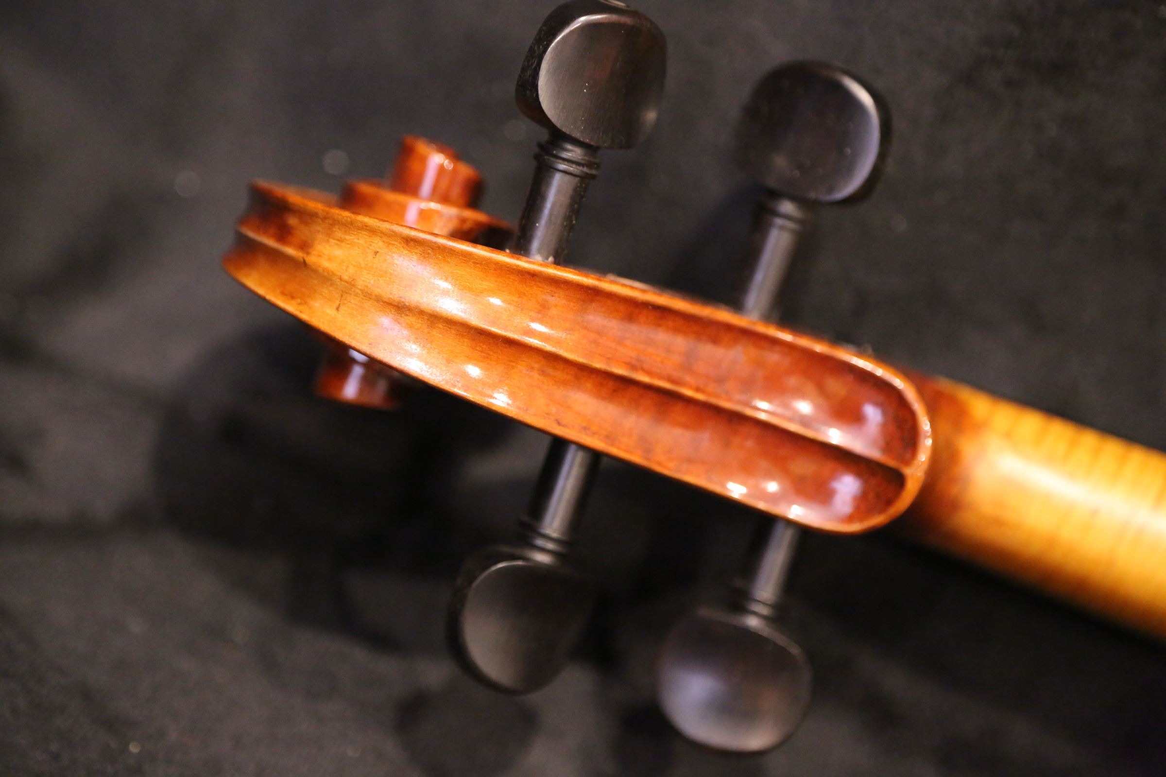 画像4: Ma工房 左利き用・バイオリン・ファインレベル２ピースバック Lefty Violin
