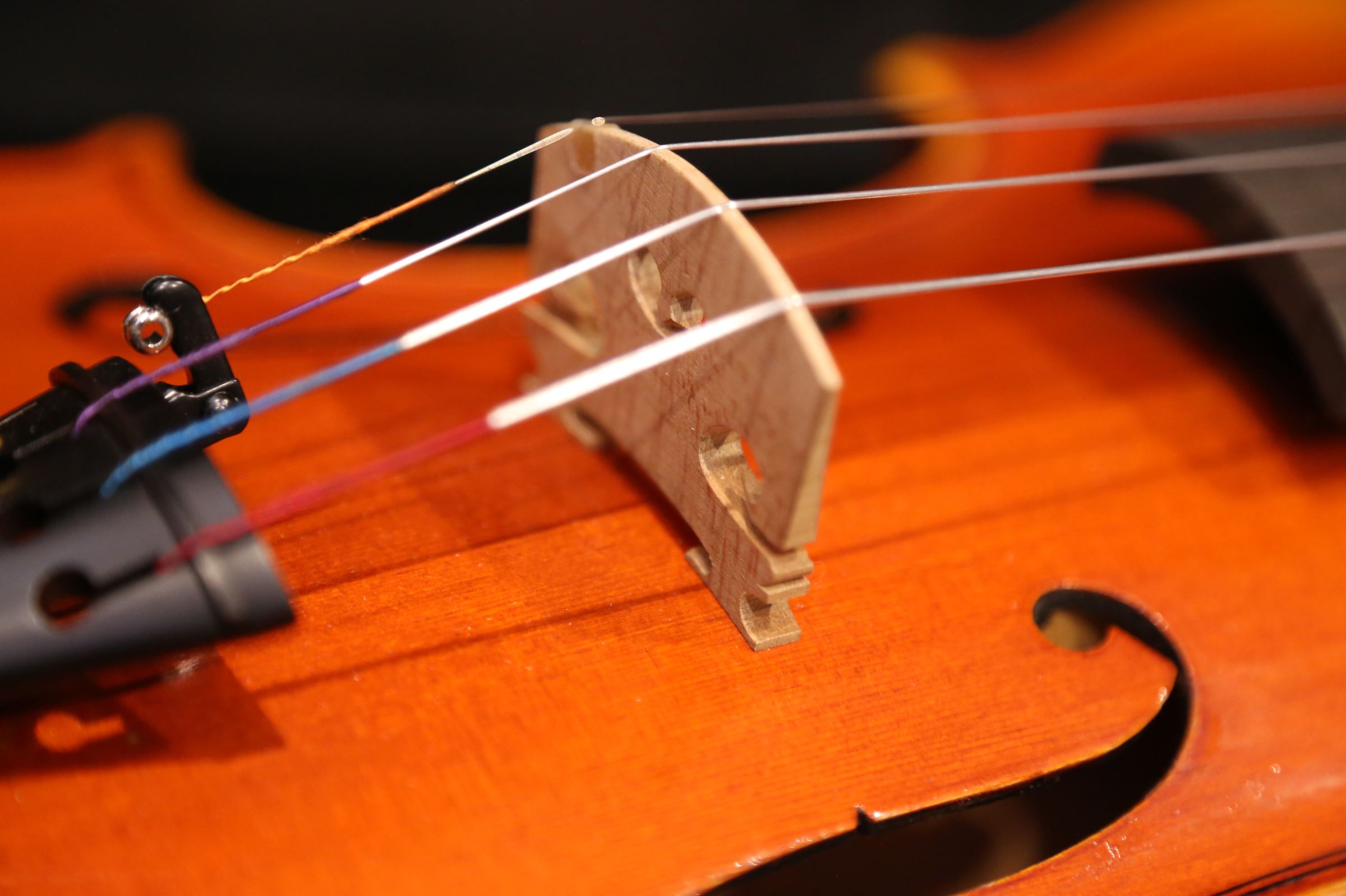 画像15: Ma工房 左利き用・バイオリン・ファインレベルワンピースバック Lefty Violin