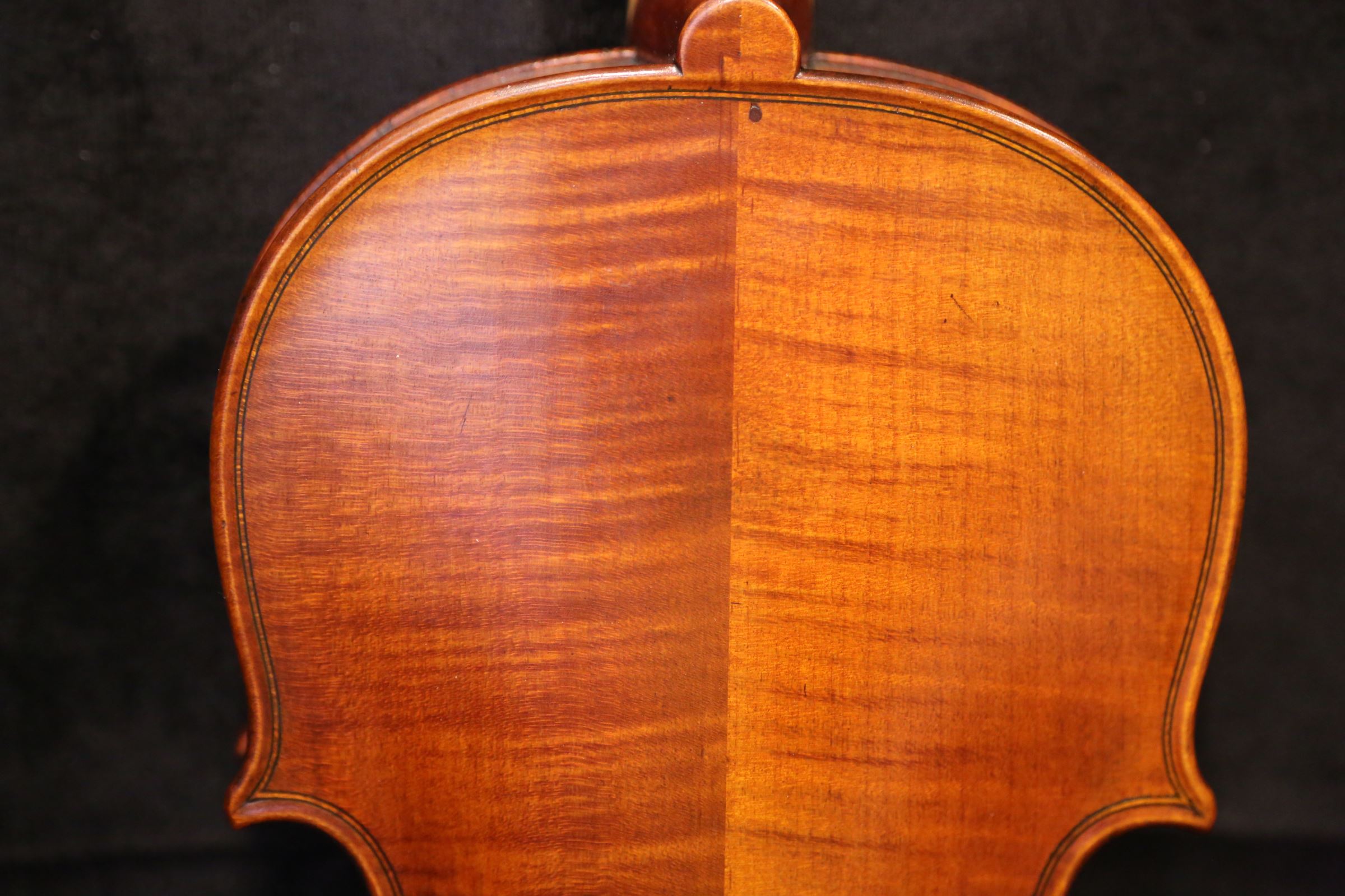 画像5: Ma工房 左利き用・バイオリン・ファインレベル２ピースバック Lefty Violin